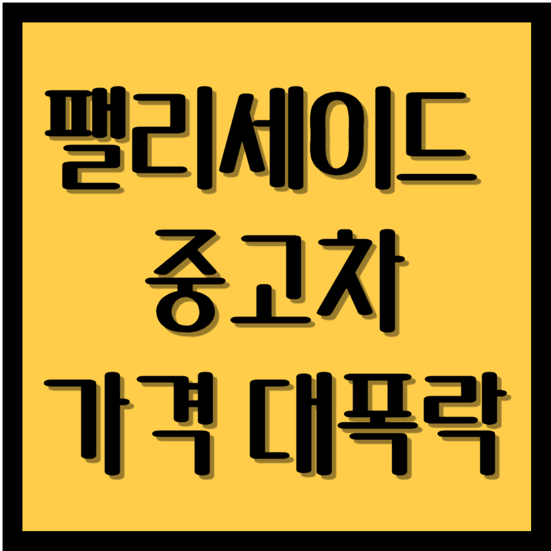 팰리세이드 중고차