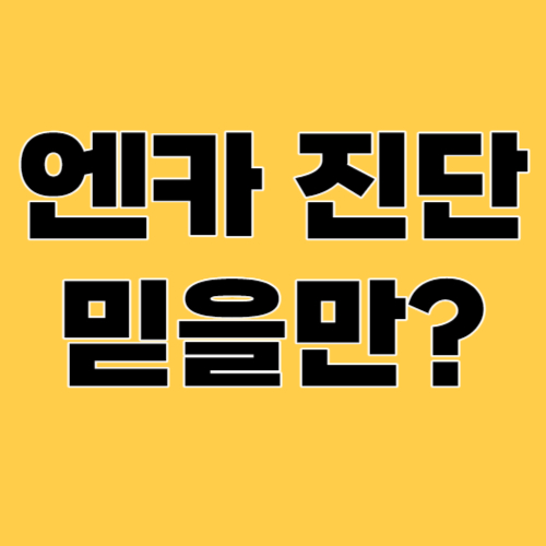 엔카 진단 믿을만?