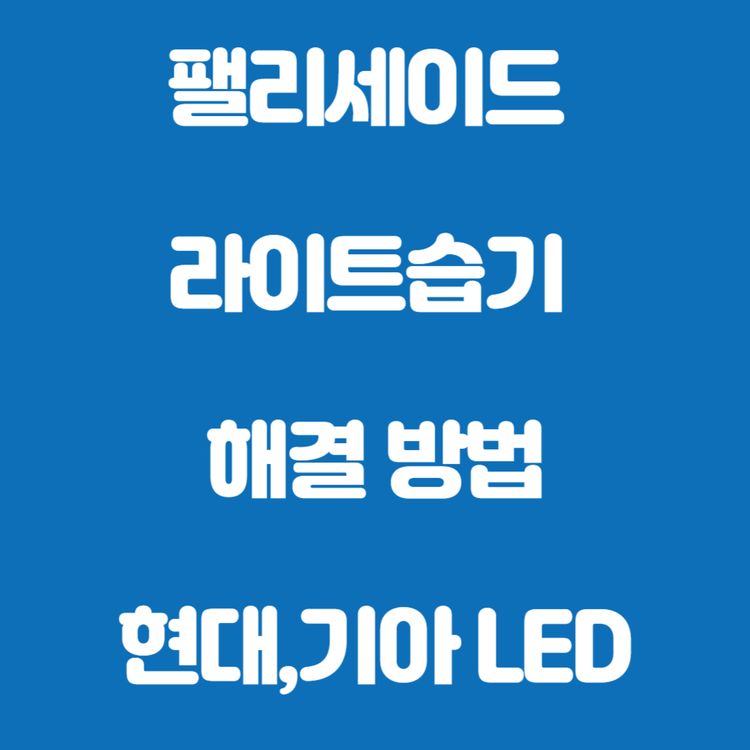 팰리세이드 라이트습기 5분만에 해결 방법(현대,기아LED라이트)