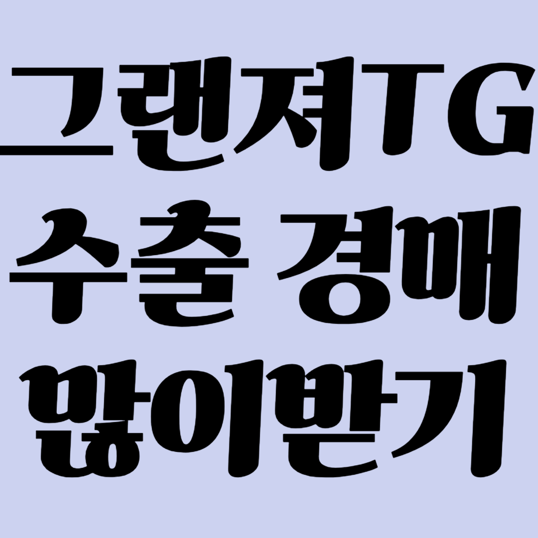 그랜저TG 수출 경매 통해 비싸게 판매하는 방법