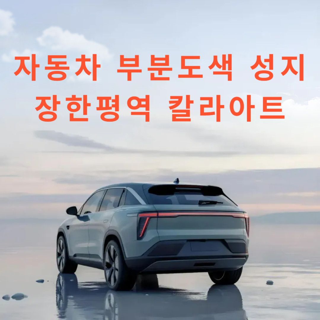 장한평 부분도색 성지
