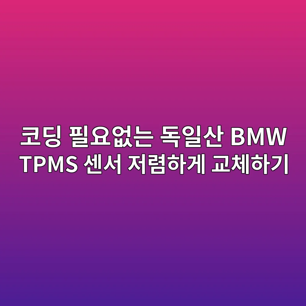 BMW tpms 센서 코딩 필요없는 저렴한 교체방법 1 image 41
