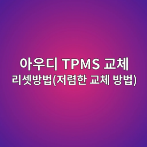 아우디 TPMS 교체 리셋방법(저렴한 교체 방법)