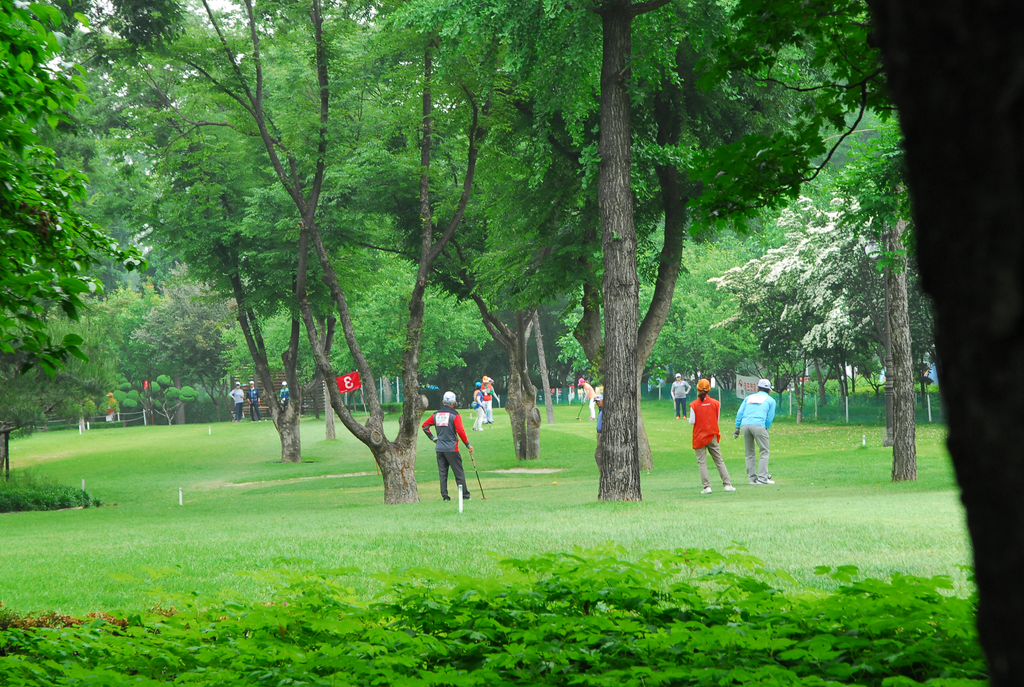 파크골프 규칙 초보도 쉽게
